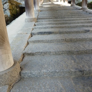 P1000258.JPG
