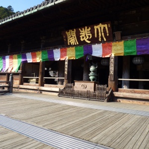 P1000264.JPG