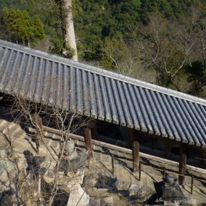 P1000289.JPG