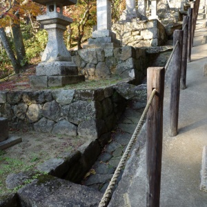 P1000295.JPG