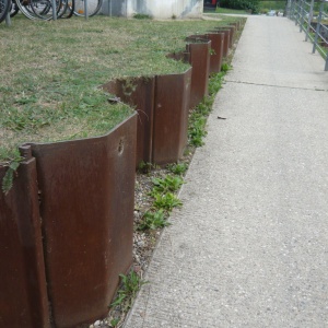 a-P1140453.JPG