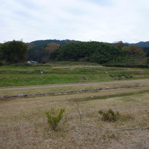 P1000307.JPG