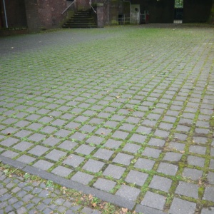 a-P1140716.JPG