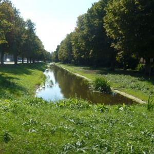 a-P1150057.JPG