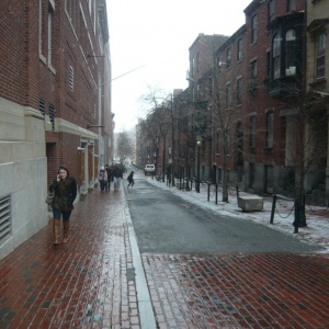 a-P1170772.JPG