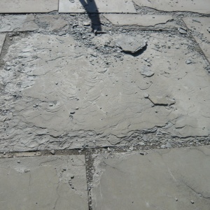 a-P1180010.JPG