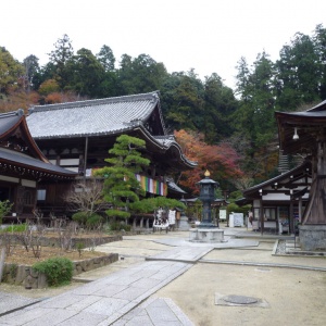 P1000337.JPG