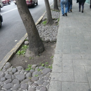 a-P1190263.JPG