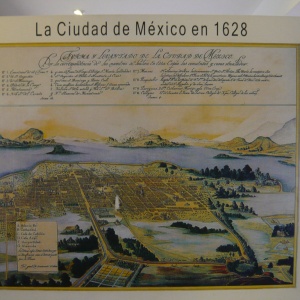 a-P1190420.JPG