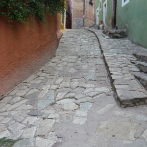 a-P1190533.JPG
