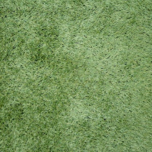 b-P1000538.JPG