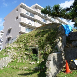 b-P1010089.JPG