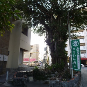 b-P1010170.JPG