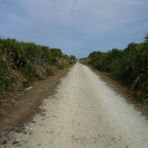 b-P1010312.JPG