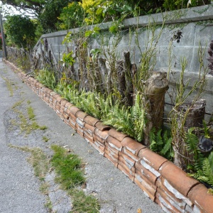 b-P1010546.JPG
