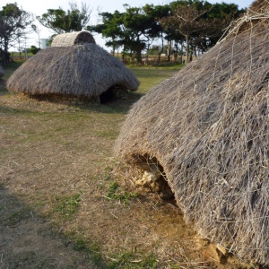 b-P1010648.JPG