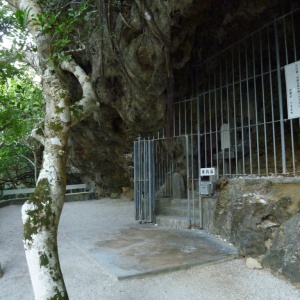 b-P1010701.JPG