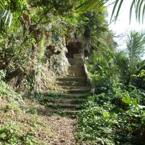 b-P1010845.JPG