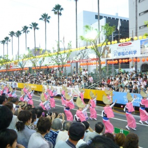 b-P1050517.JPG