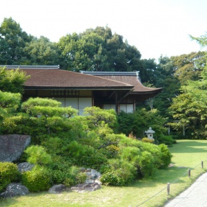 b-P1050595.JPG