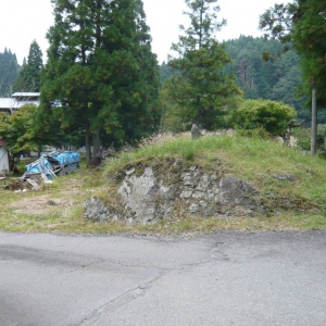 b-P1100091.JPG