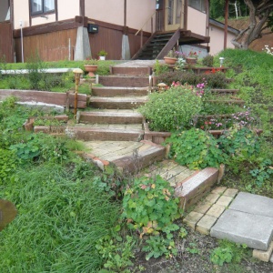 b-P1160025.JPG