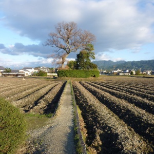 P1000576.JPG