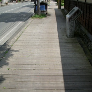 DSCN3347.JPG