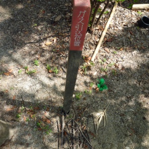 c-P1010934.JPG