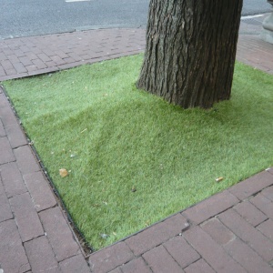 a-P1150374.JPG