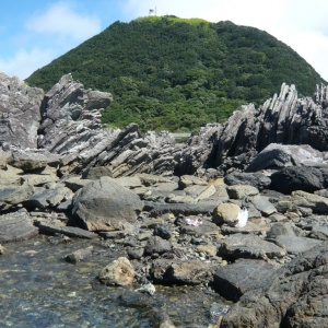 d-P1080463.JPG
