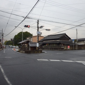 P1000794.JPG