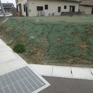 l-DSC00553.JPG