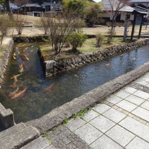 l-DSC00851.JPG