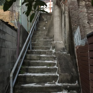 l-IMG_3473.JPG