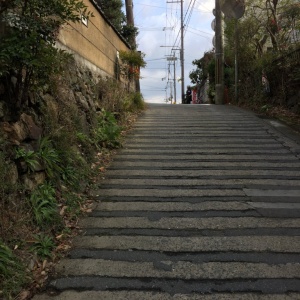 l-IMG_3540.JPG