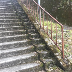l-IMG_3768.JPG