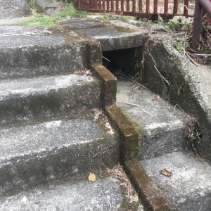 l-IMG_3770.JPG