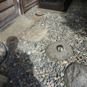 l-P1020134.JPG