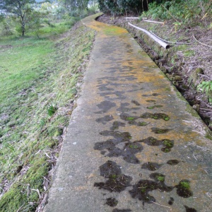 l-P1020318.JPG