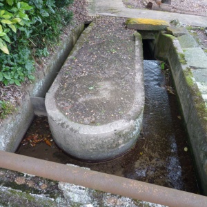 l-P1020334.JPG