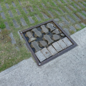 l-P1020539.JPG