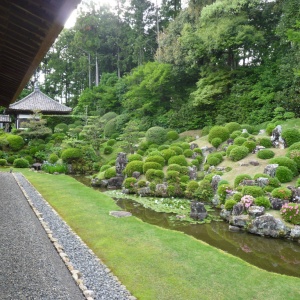 l-P1020588.JPG