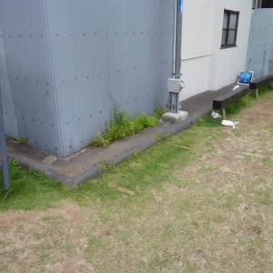 l-P1020911.JPG