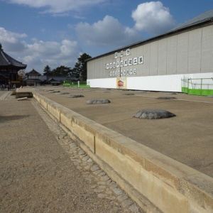 P1000065.JPG