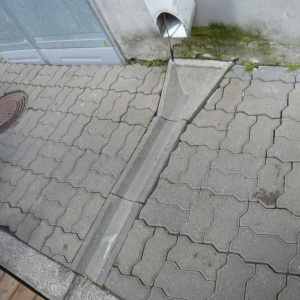 P1130053.jpg