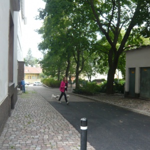 P1130572.jpg