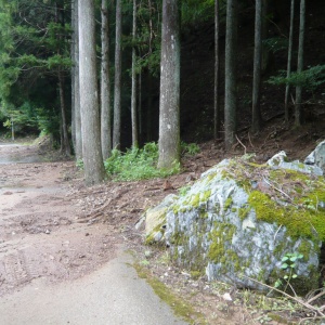 P1200240.JPG