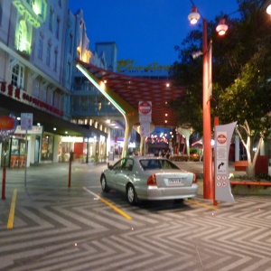 a-P1000206.JPG