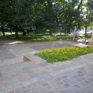 a-P1010178.JPG